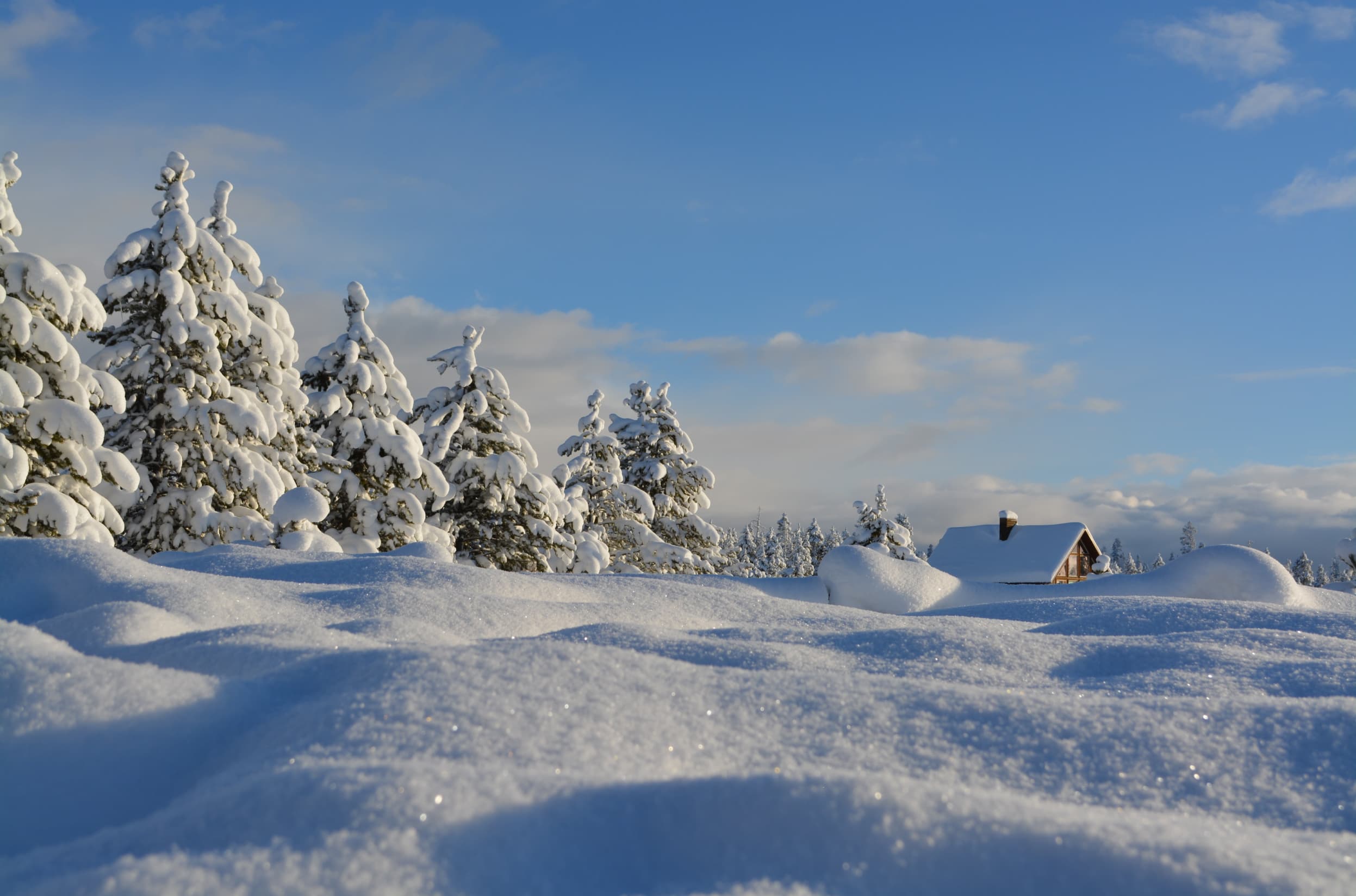 UTV at a snowy cabin in winter